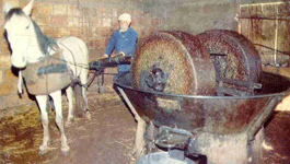 moulin à olives