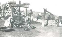 Lamâsra (moulin à olives et pressoir à huile)